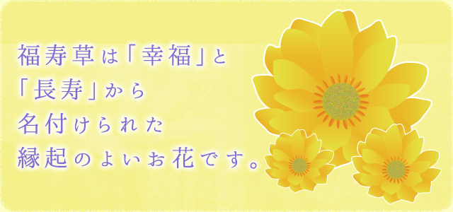 福寿草は「幸福」と「長寿」から名付けられた 縁起のよいお花です。 